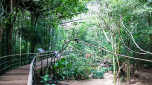 Conheça o Parque das Aves de Foz do Iguaçu