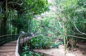 Conheça o Parque das Aves de Foz do Iguaçu