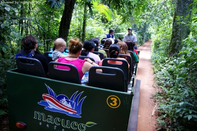 Ponto turístico em Foz do Iguaçu Macuco Safari