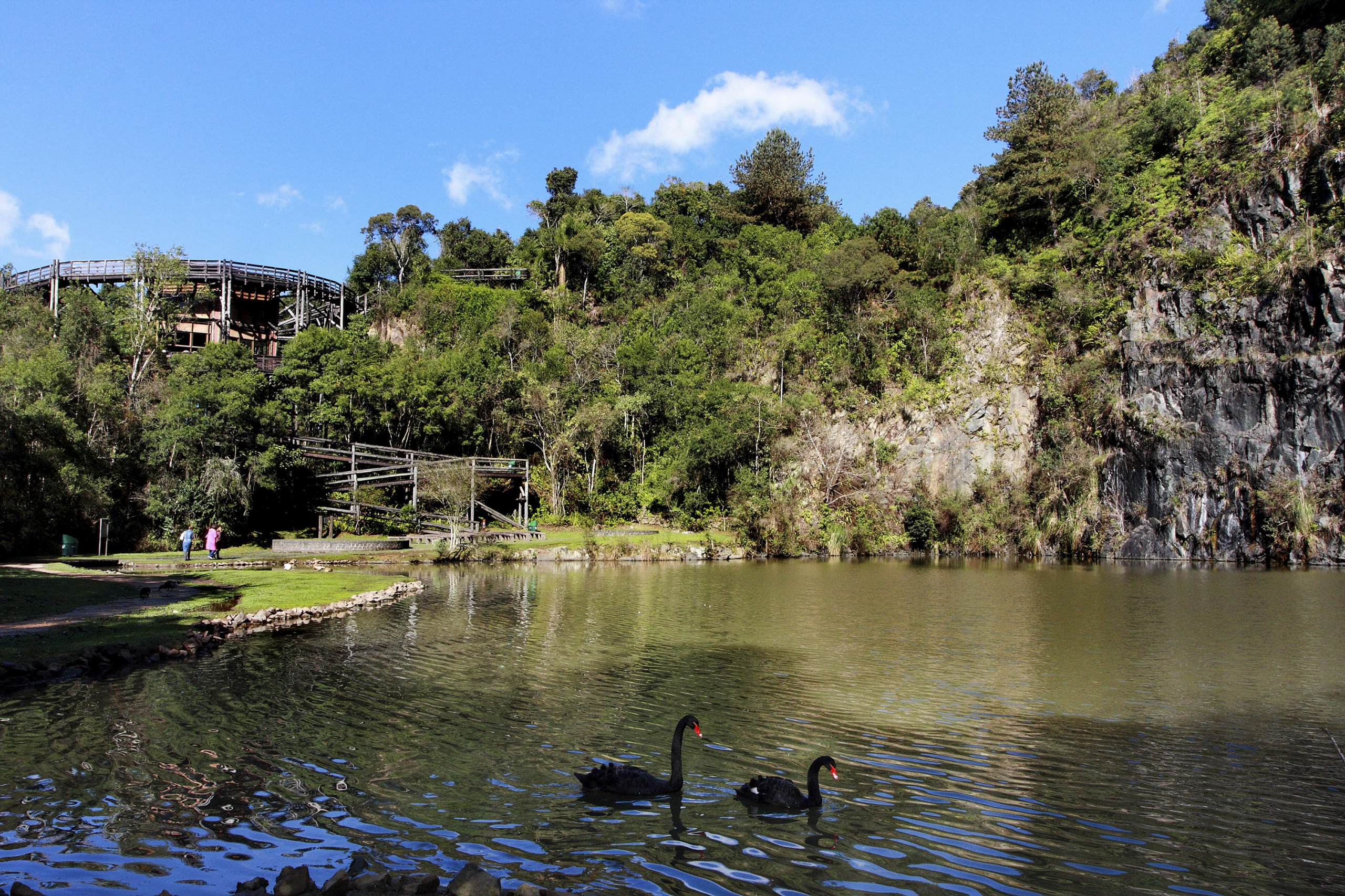 14 parques em Curitiba para você conhecer Bosque Zaninelli